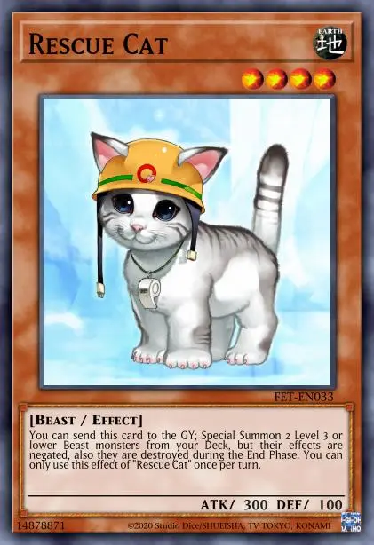 Rescue Cat